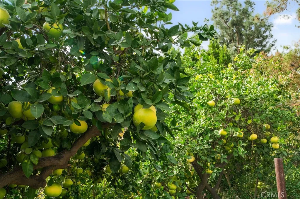 Additional image 49 of 416 Alamosa Drive, Claremont, CA 91711