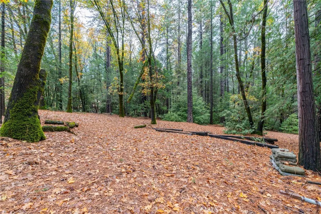 Additional image 52 of 16376 Stage Road, Forest Ranch, CA 95942