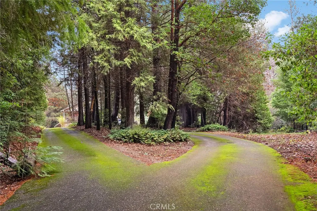 Additional image 64 of 18774 Challenge Cut Off Road, Forbestown, CA 95941