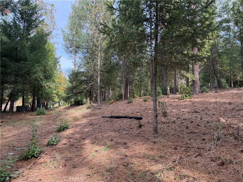 Additional image 13 of 8890 La Porte Road, Brownsville, CA 95919