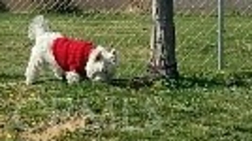 Additional image 43 of 21621 Sandia Road Unit 127, Apple Valley, CA 92308