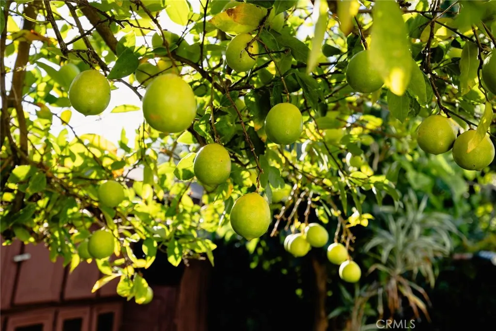 Additional image 39 of 4607 Earle Avenue, Rosemead, CA 91770