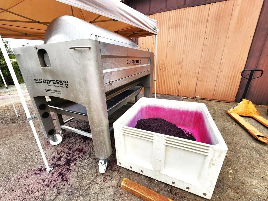 Additional image 58 of 25260 E Old Julian Hwy, Ramona, CA 92065