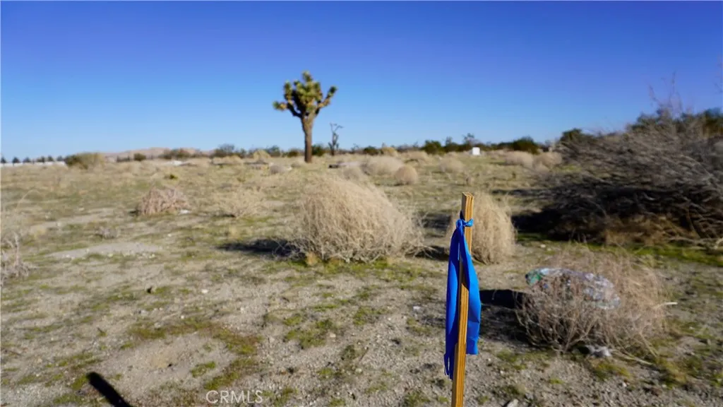 Additional image 8 of 118th, Sun Village, CA 93543