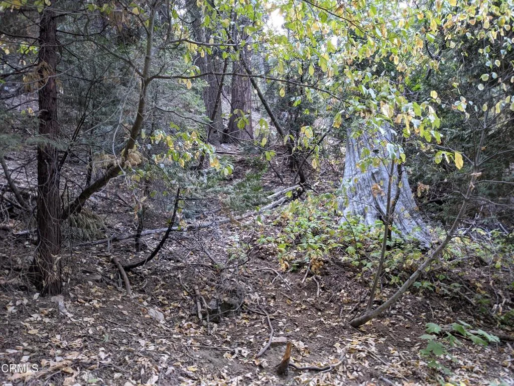 Additional image 4 of Fleming Creek, Lake Arrowhead, CA 92352