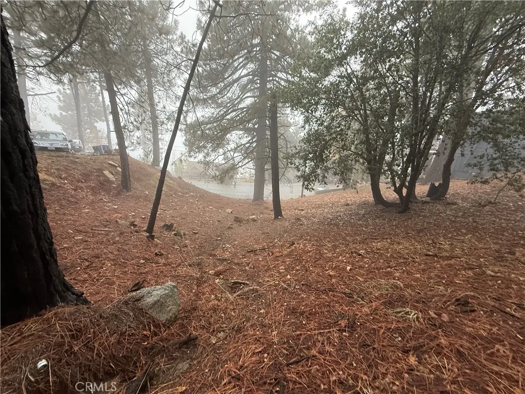 Additional image 19 of Poplar, Running Springs, CA 92382