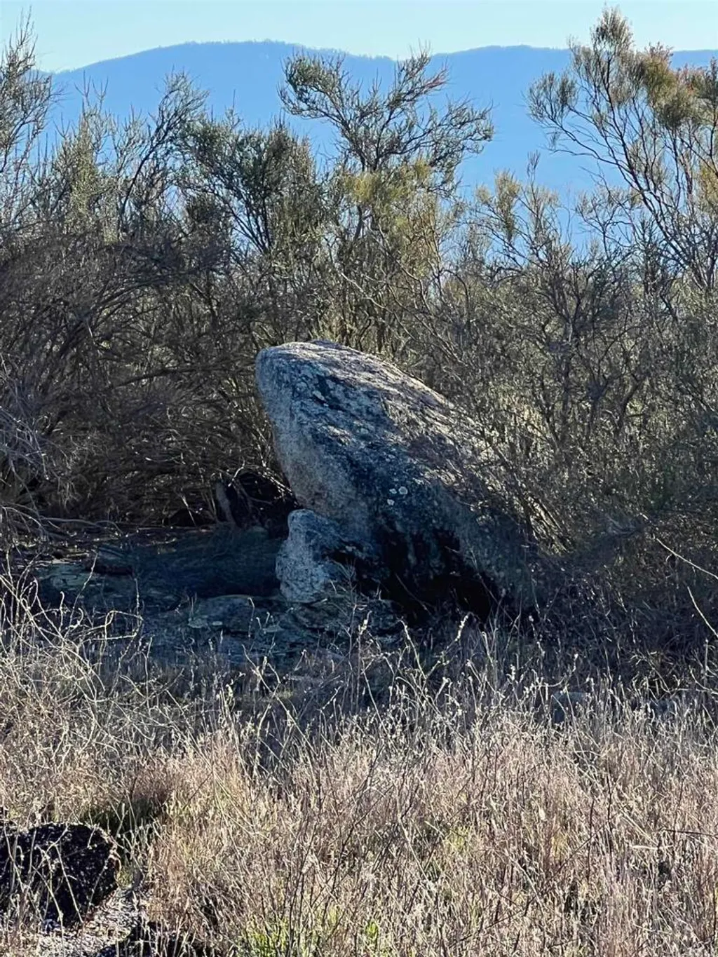 Additional image 5 of 1 Overton, Hemet, CA 92544