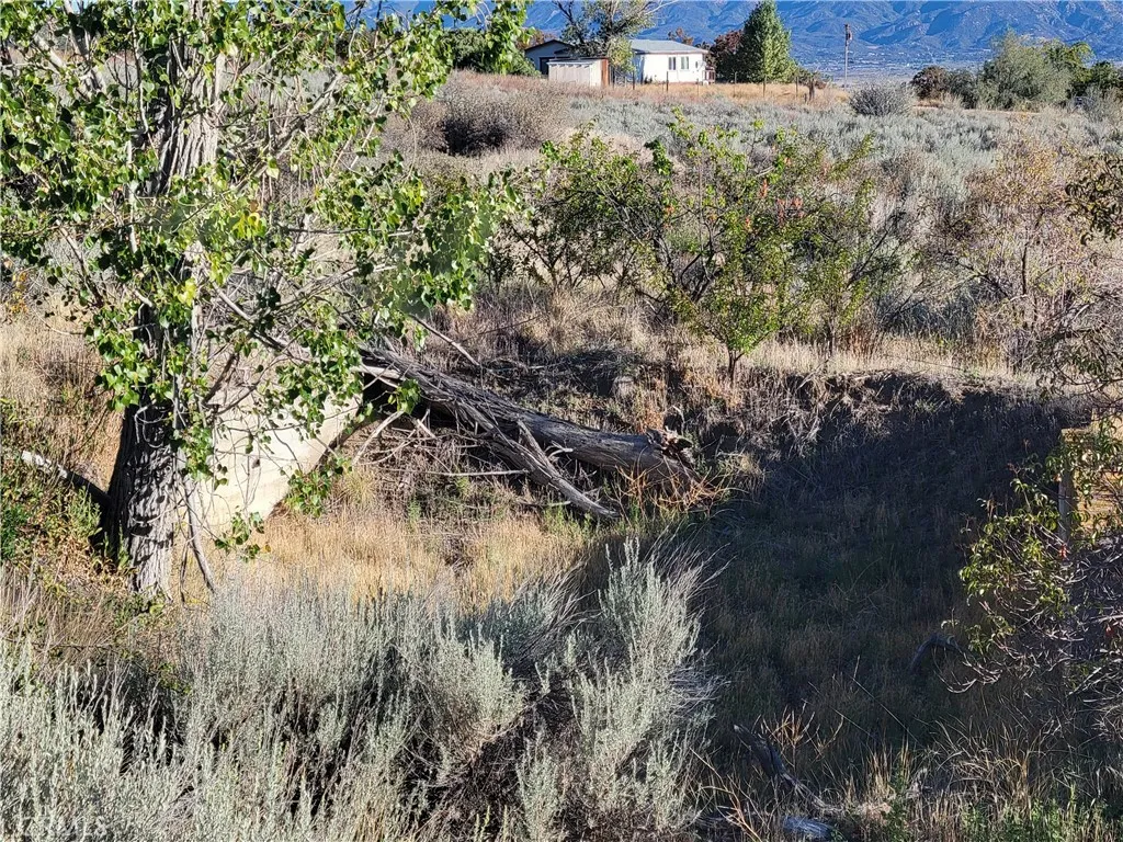 Additional image 38 of 44451 Jay Dr, Anza, CA 92539