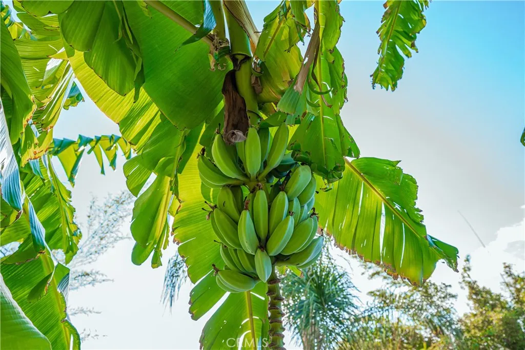 Additional image 60 of 6580 Lake St, Riverside, CA 92503