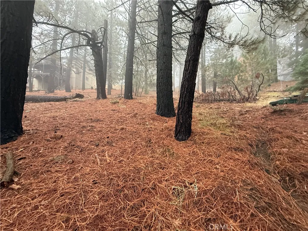 Additional image 2 of Poplar, Running Springs, CA 92382