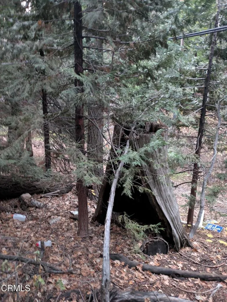 Additional image 18 of Fleming Creek, Lake Arrowhead, CA 92352