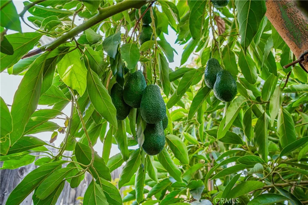 Additional image 40 of 6580 Lake St, Riverside, CA 92503