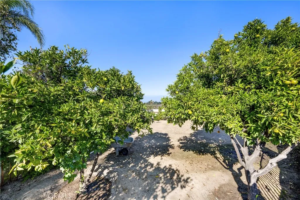 Additional image 29 of 2604 Rudy St, Rowland Heights, CA 91748