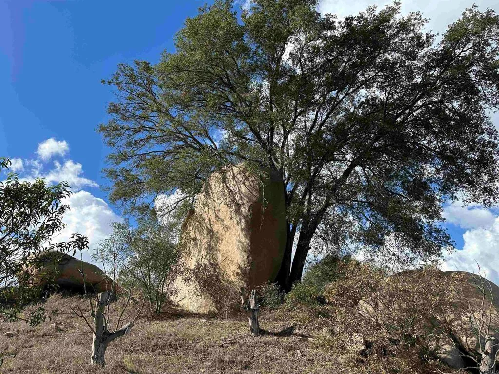 Additional image 34 of 2494 Lane Ln, Fallbrook, CA 92028