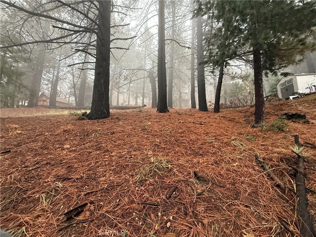 Additional image 8 of Poplar, Running Springs, CA 92382