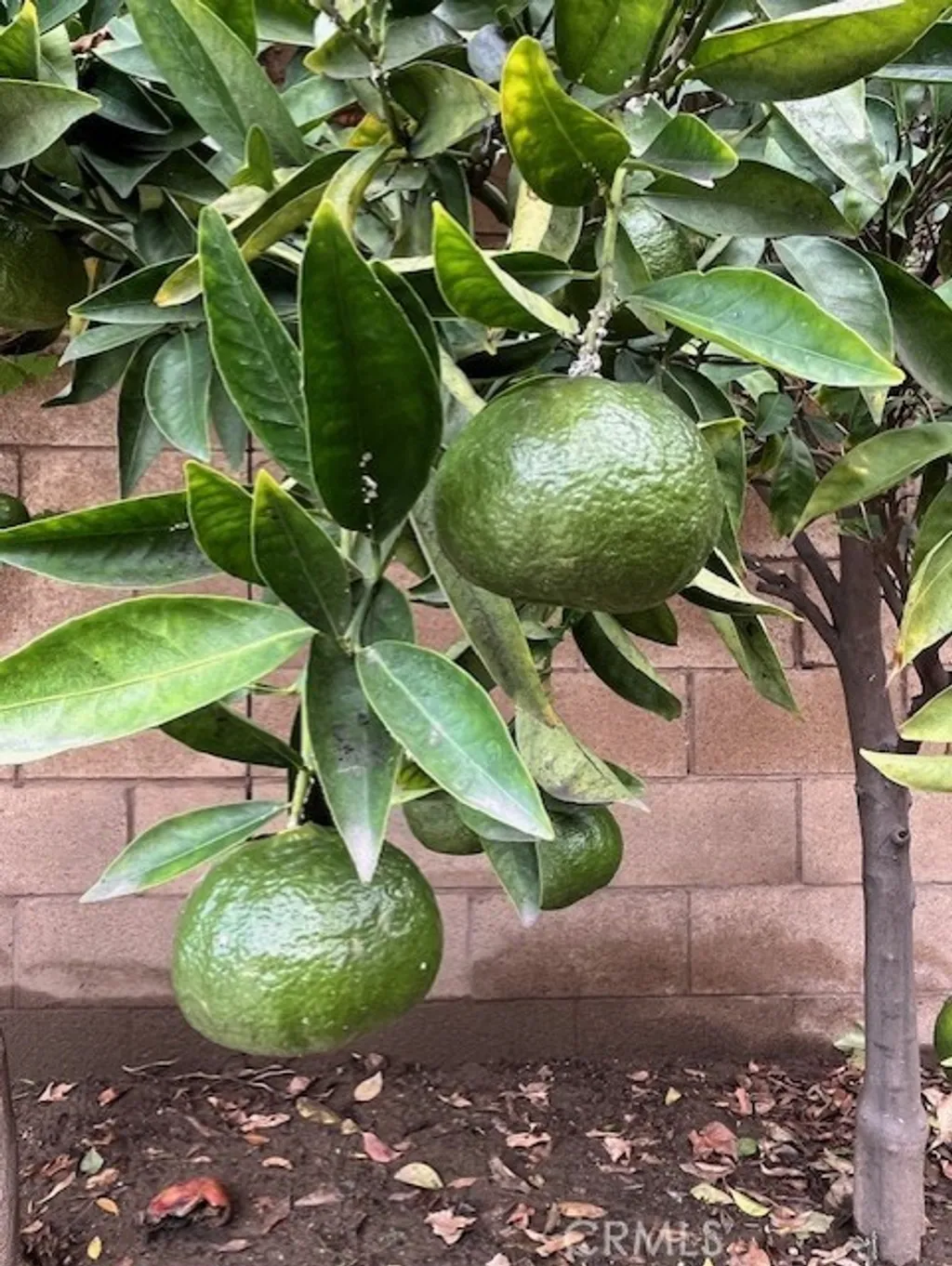 Additional image 20 of 8640 Westman Ave, Whittier, CA 90606