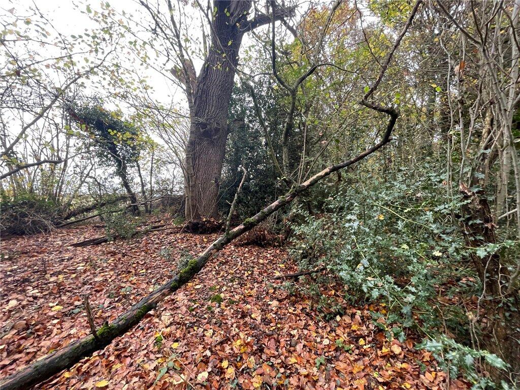 Additional image 4 of Land At Largess Spring, Cheveralls Green, Markyate