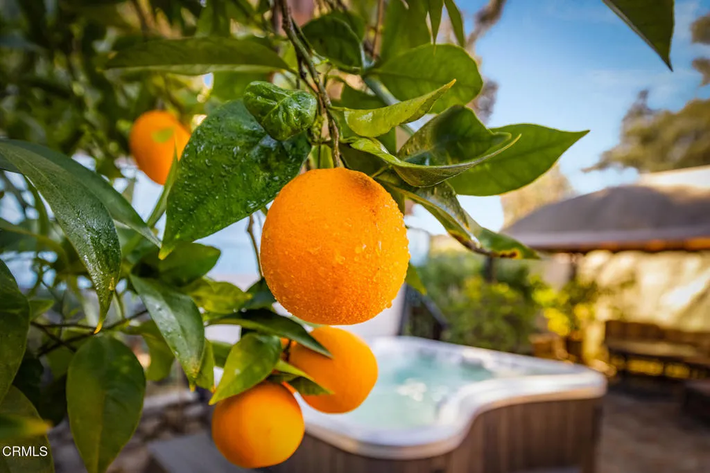 Additional image 36 of 11604 N Ventura Avenue, Ojai, CA 93023