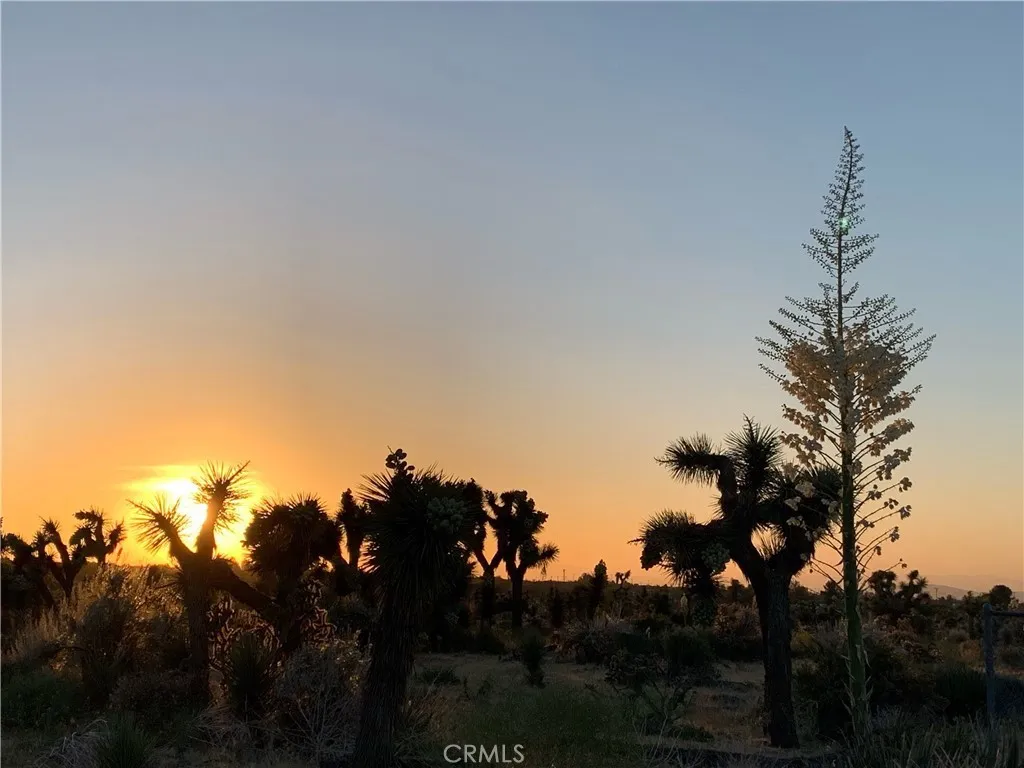 Additional image 55 of 3996 Yucca Terrace Dr, Phelan, CA 92371