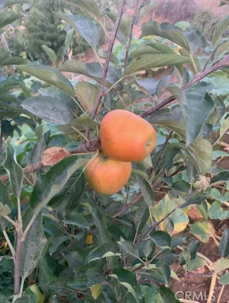 Additional image 148 of 5999 Homestead St, Jurupa Valley, CA 92509