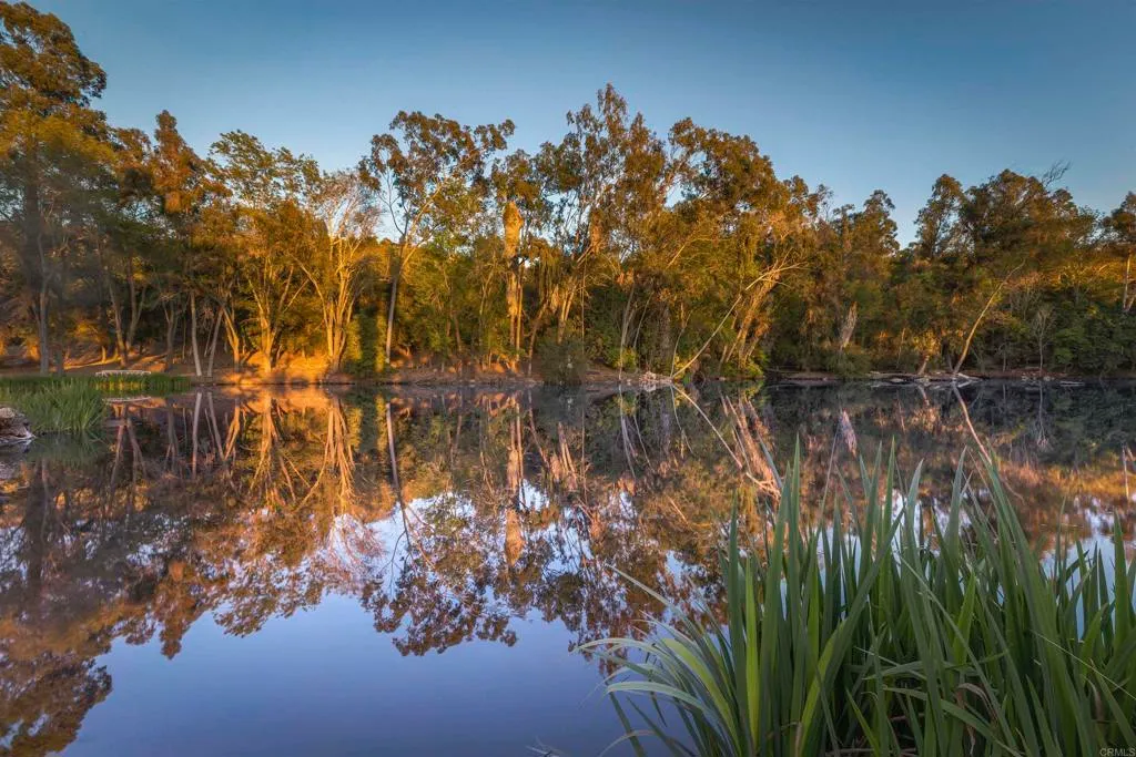 Additional image 84 of 6036 Rainbow Heights Road, Fallbrook, CA 92028
