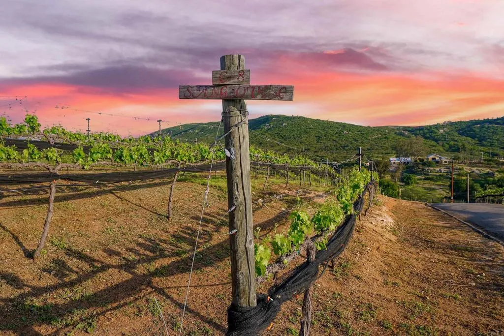 Additional image 123 of 25260 E Old Julian Hwy, Ramona, CA 92065