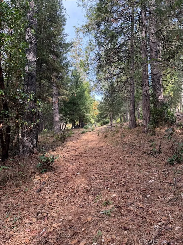 Additional image 14 of 8890 La Porte Road, Brownsville, CA 95919