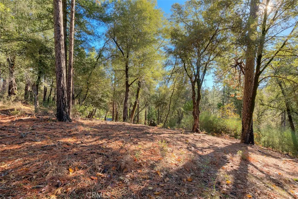 Additional image 33 of 3625 Charqui Court, Oroville, CA 95965