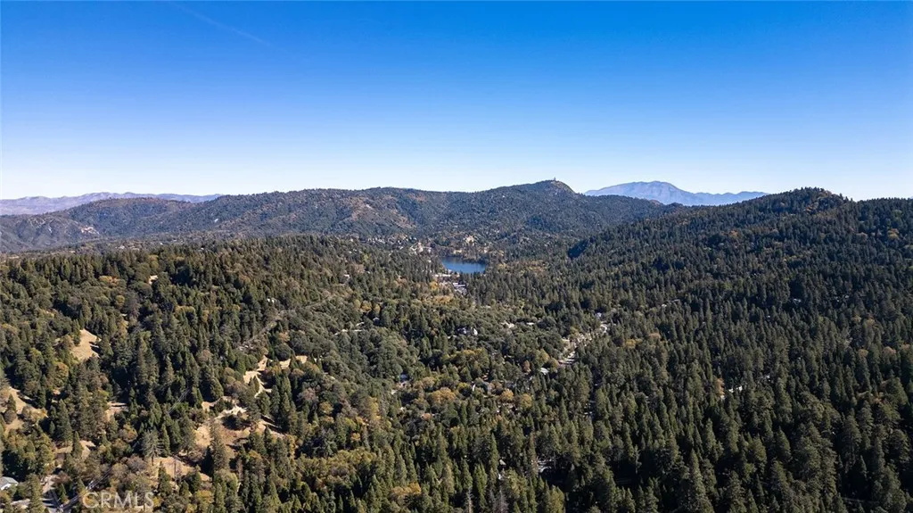Additional image 68 of 461 Log Lane, Crestline, CA 92325