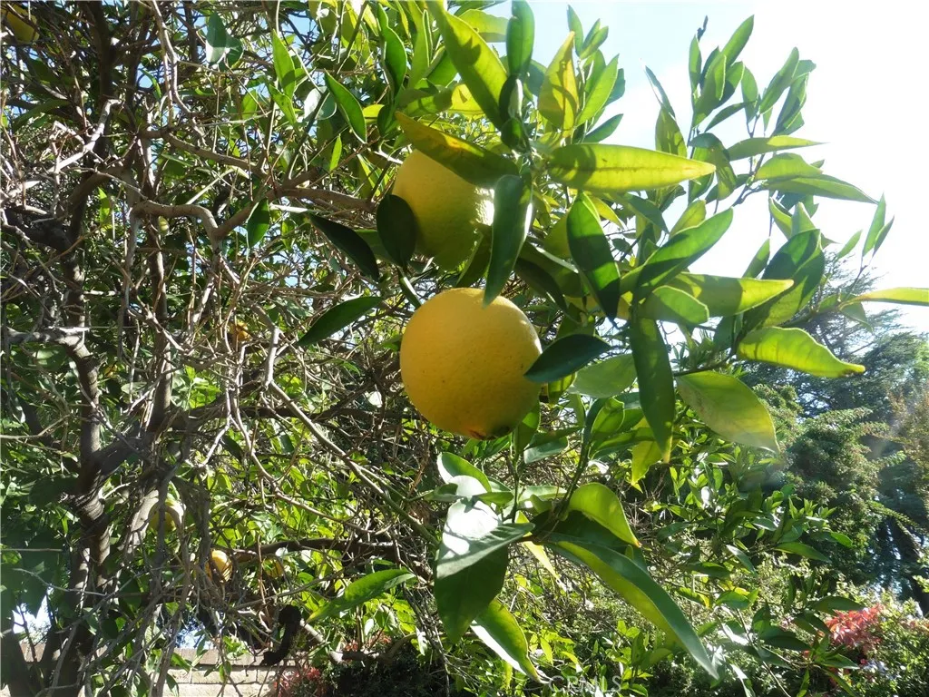 Additional image 57 of 5404 Quince St, Riverside, CA 92506