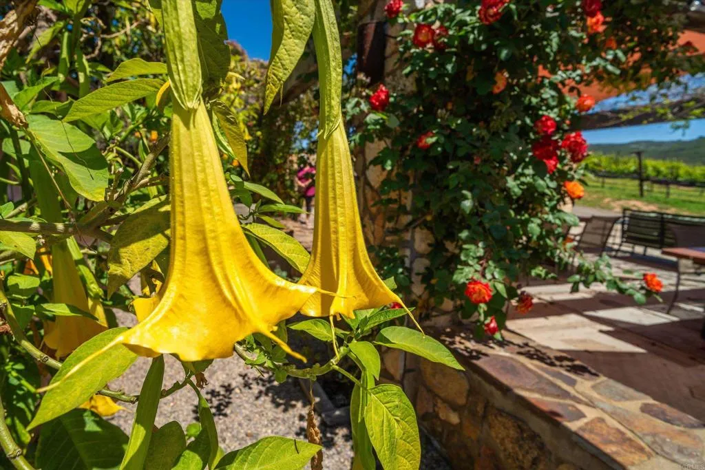 Additional image 15 of 25260 E Old Julian Hwy, Ramona, CA 92065