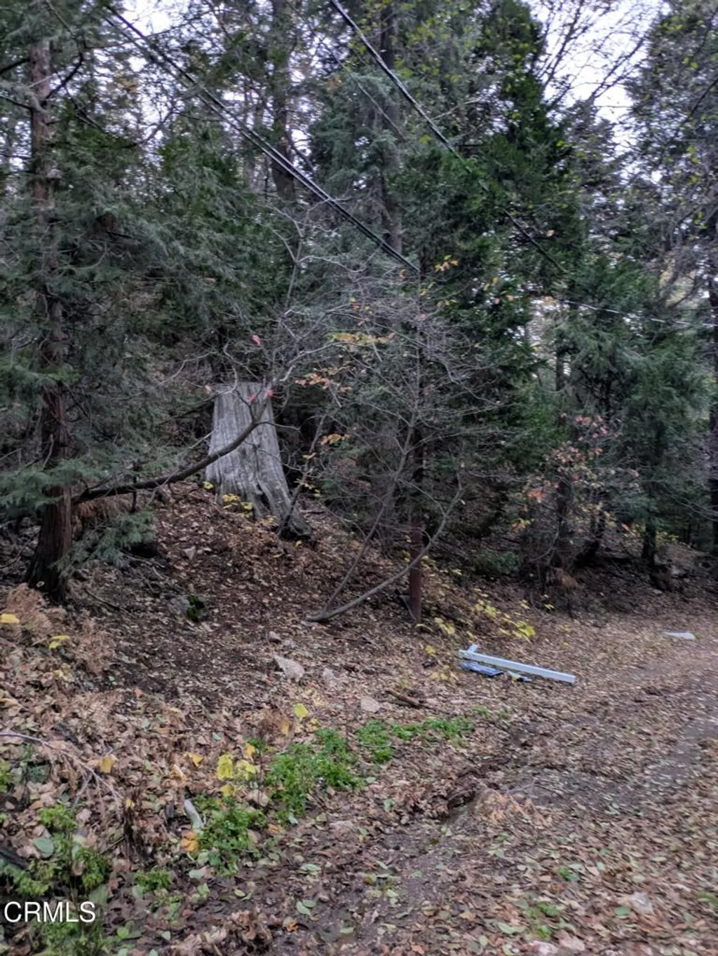 Additional image 8 of Fleming Creek, Lake Arrowhead, CA 92352