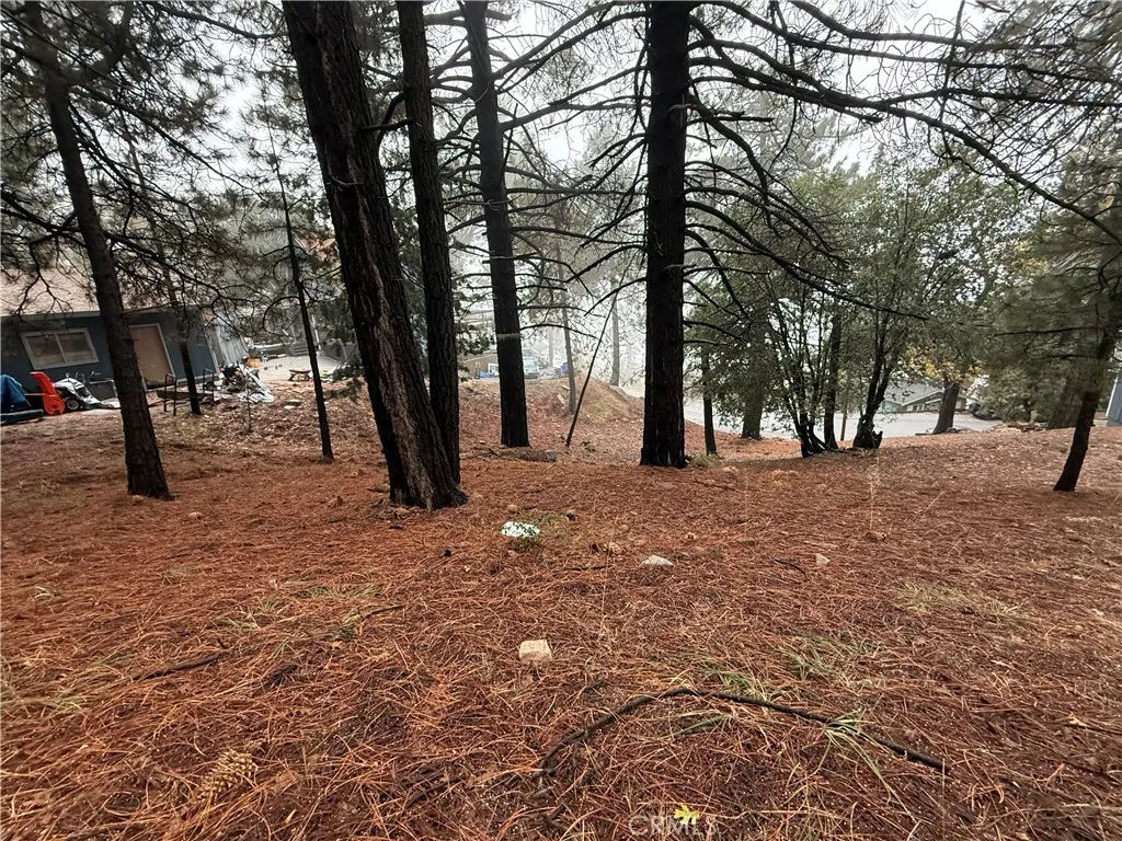 Additional image 18 of Poplar, Running Springs, CA 92382