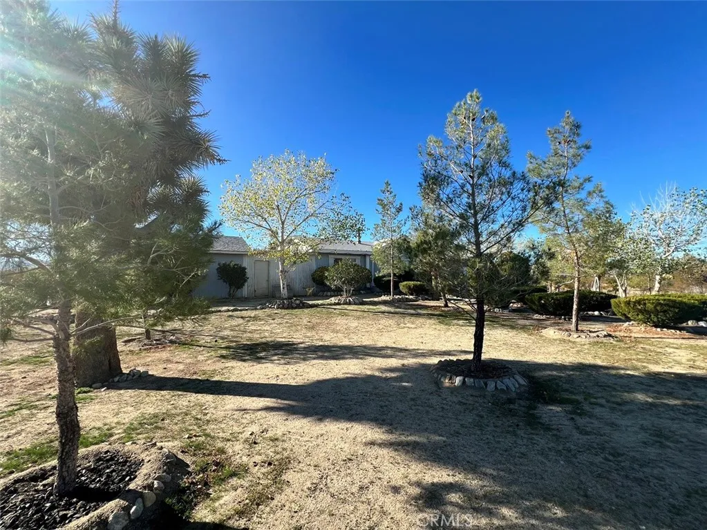Additional image 15 of 1011 Danbury Rd, Pinon Hills, CA 92372