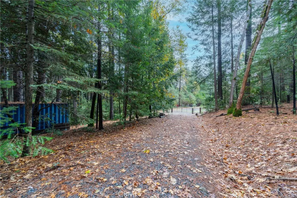 Additional image 130 of 16376 Stage Road, Forest Ranch, CA 95942