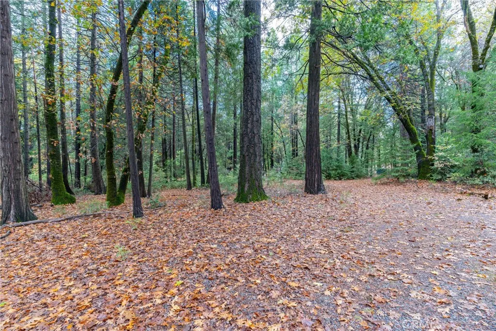 Additional image 35 of 16376 Stage Road, Forest Ranch, CA 95942