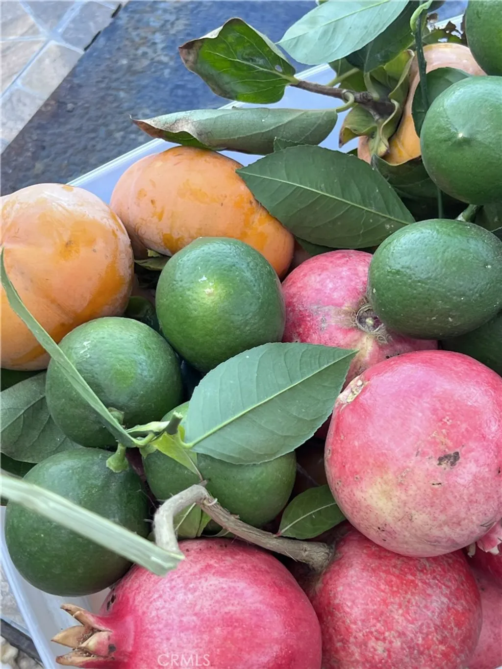 Additional image 16 of 31241 Old River Road, Bonsall, CA 92003