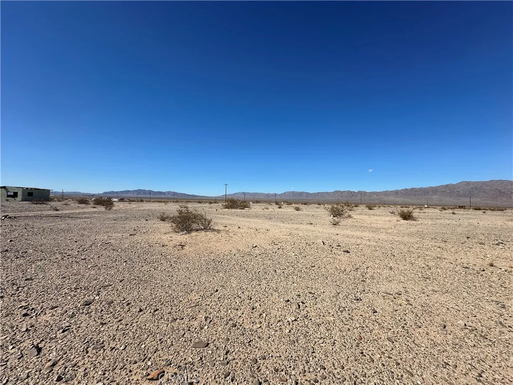 Additional image 4 of 1 Screech Owl, 29 Palms, CA 92277