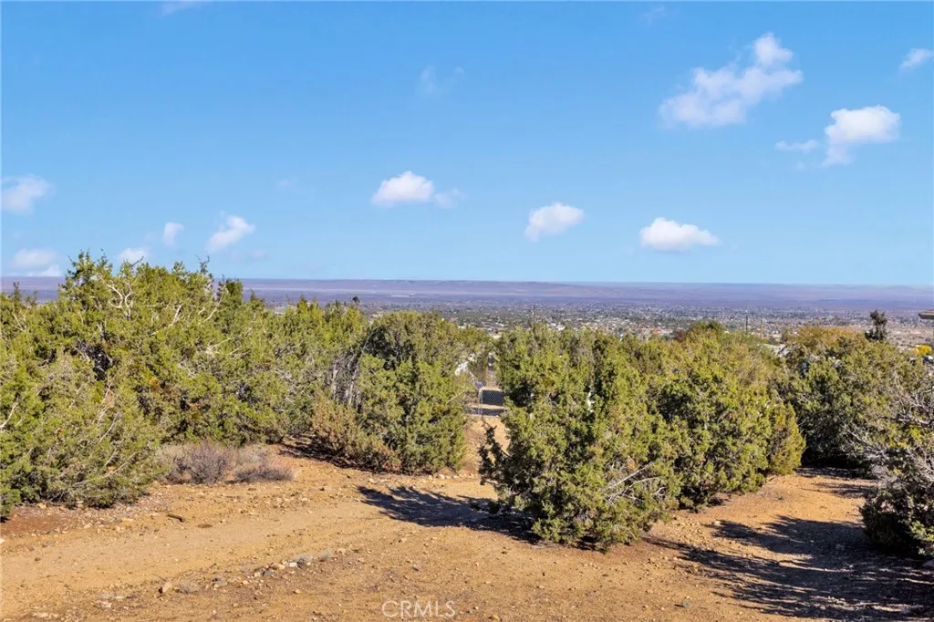 Additional image 95 of 2909 Silver Ridge Drive, Pinon Hills, CA 92372