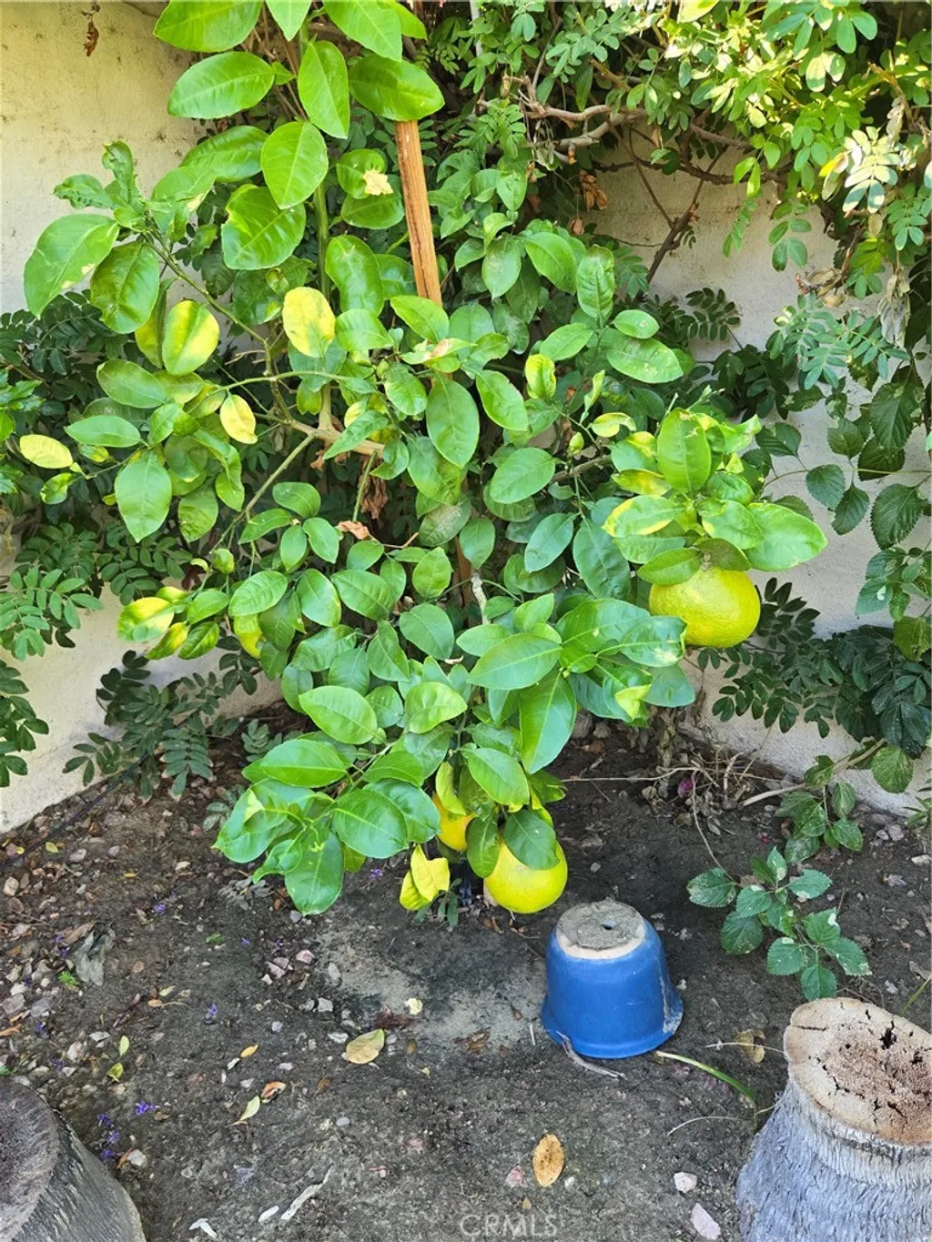 Additional image 33 of 40125 Calle Las Positas, Indio, CA 92203