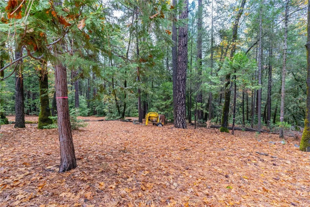 Additional image 123 of 16376 Stage Road, Forest Ranch, CA 95942