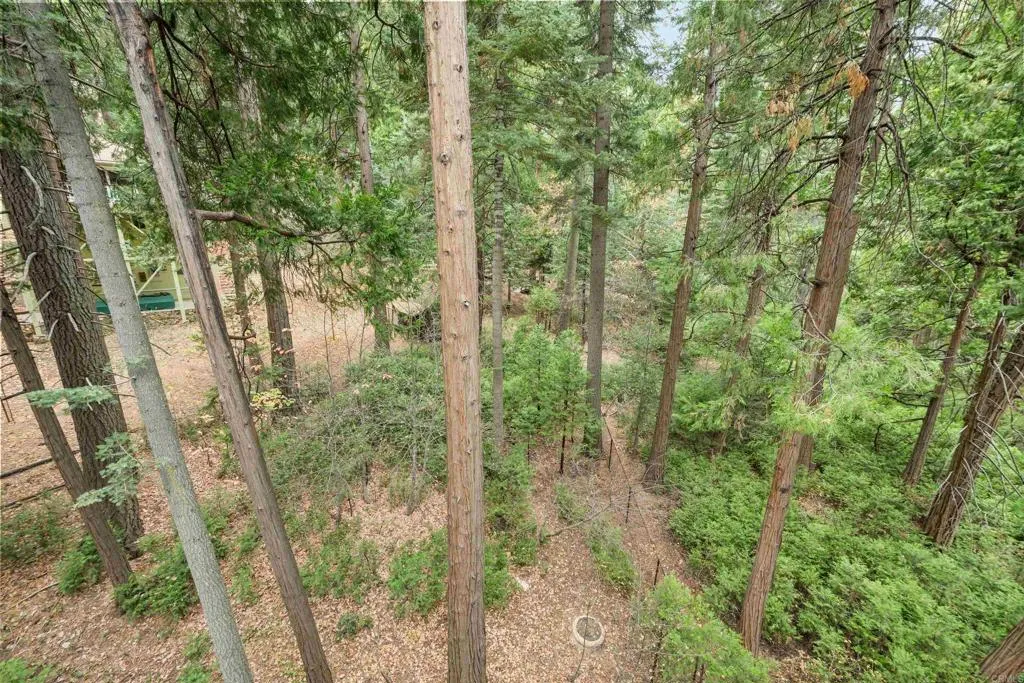 Additional image 19 of 26328 Jacqueline Rd, Twin Peaks, CA 92391