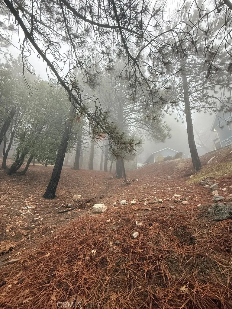 Additional image 22 of Poplar, Running Springs, CA 92382