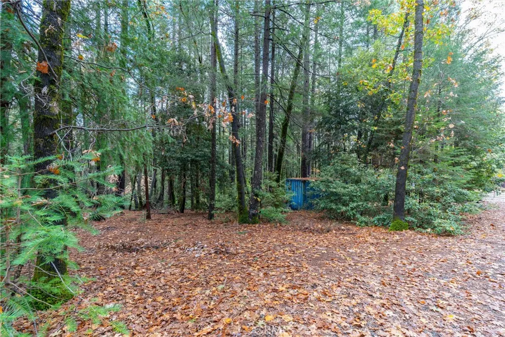 Additional image 56 of 16376 Stage Road, Forest Ranch, CA 95942