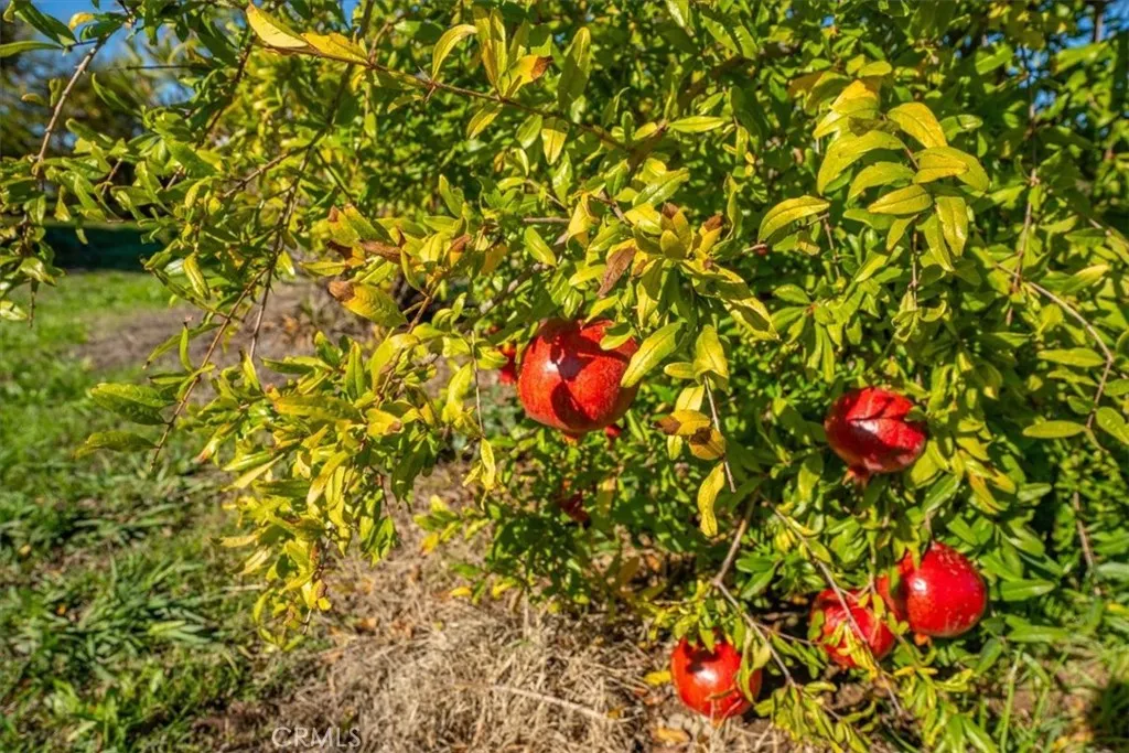 Additional image 137 of 22319 O, Corning, CA 96021