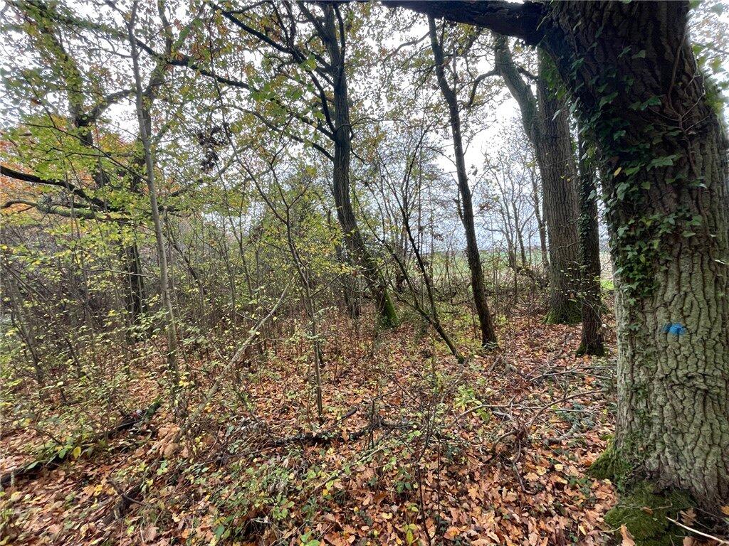 Additional image 3 of Land At Largess Spring, Cheveralls Green, Markyate