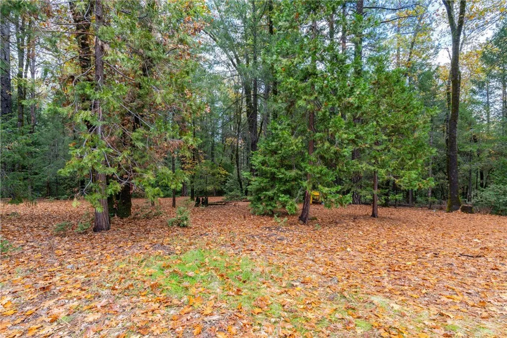 Additional image 49 of 16376 Stage Road, Forest Ranch, CA 95942