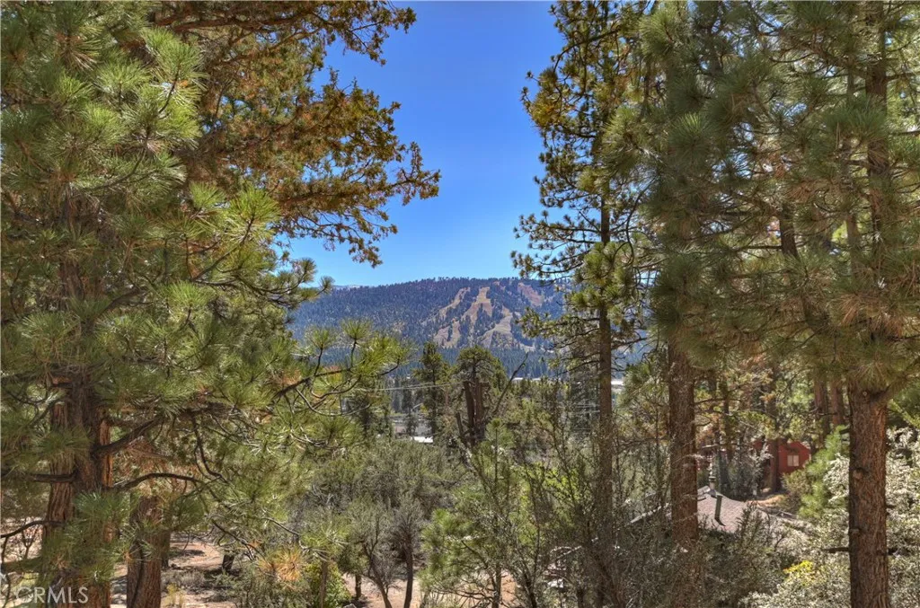 Additional image 28 of 29 Lakeview, Fawnskin, CA 92333