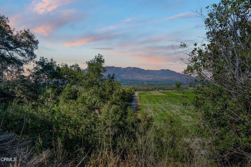 Additional image 77 of 20176 S Mountain Road, Santa Paula, CA 93060