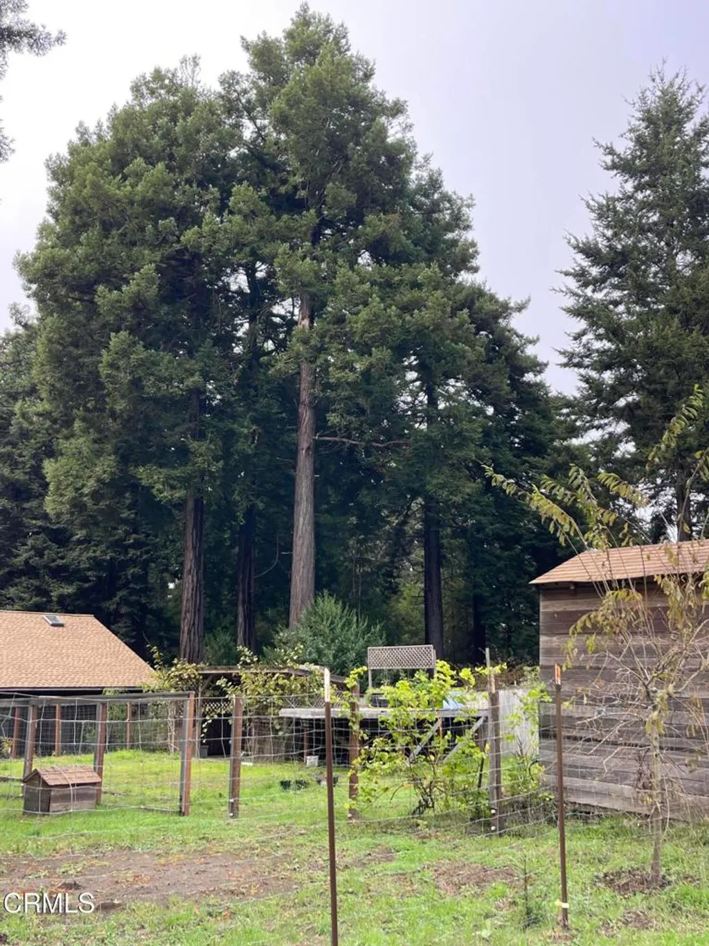 Additional image 51 of 14875 Atkins Way, Fort Bragg, CA 95437